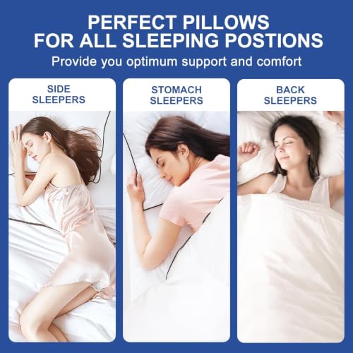 Queen Size Set of 4 Gusseted Fluffy Pillows - Black Edge, Breathable Microfiber