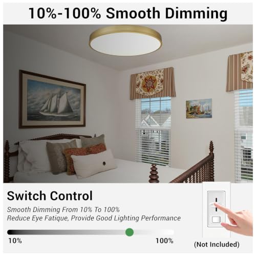 Gold 24-Inch LED Flush Mount Ceiling Light 48W Dimmable 5CCT Modern Fixture