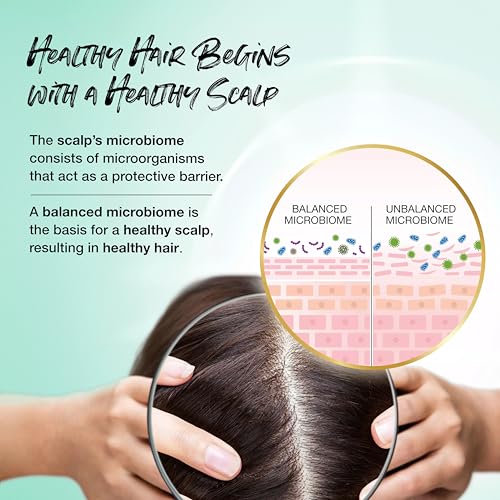 Biotera Moisturizing Shampoo for Dry, Fine Hair - 32 Fl Oz Vegan Hydrating Hair Care