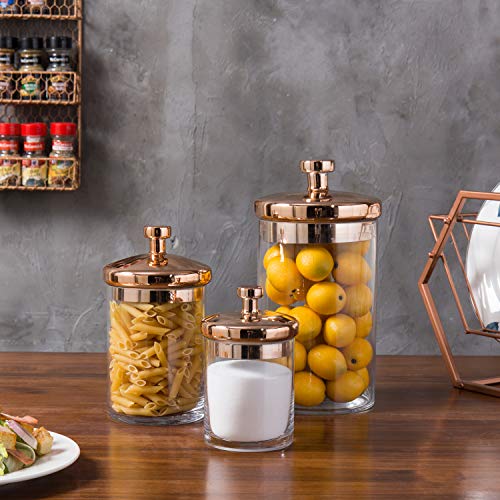 Glass Apothecary Cookie Jar Set with Copper Lids - Clear / Copper - Kitchen & Bathroom Storage
