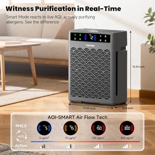 TDBYWAE Large Room Air Purifier with HEPA Filter & Fragrance - Grey