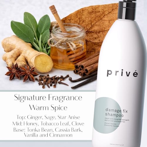 Prive Damage Fix Hair Shampoo 10 oz Sulfate-Free Repair for Damaged, Dry & Color-Treated Hair