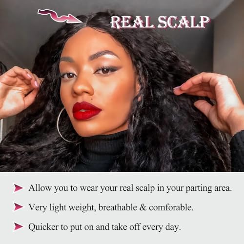 Afro Curly V Part Wig & Half Wig - Glueless Synthetic Wig for Black Women, 4C Hair, Style 1BH30 / 22