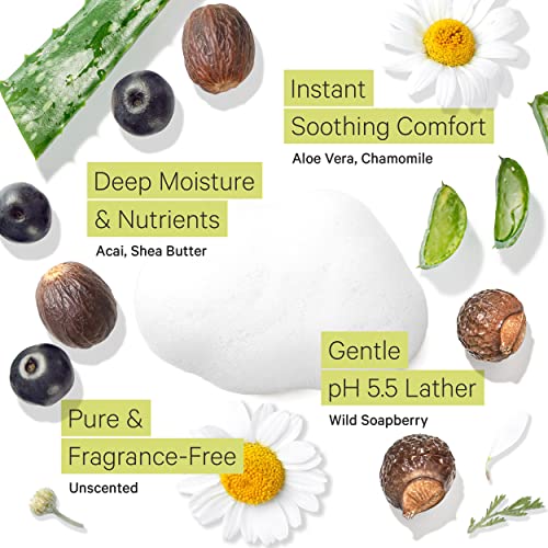 Tree to Tub Unscented Shea Butter Body Lotion for Dry Skin & Sensitive Skin Face Wash for Dry Skin - Fragrance Free Sensitive Skin Lotion & Gentle Hydrating Face Cleanser for Women & Men