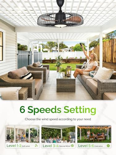 Outdoor Ceiling Fan with Lights 24 Inch Remote & App Control - Weatherproof Gazebo Fan - Regular