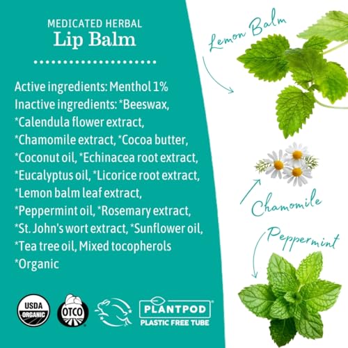 Medicated Herbal Mint Lip Balm Set - Organic, Pain & Cold Sore Relief - 4 Pack