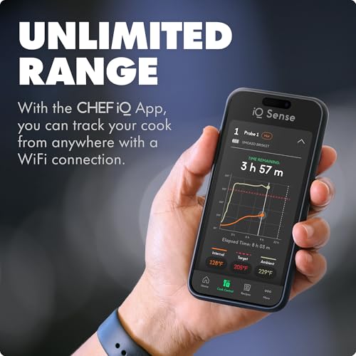 Wireless Meat Thermometer with 2 Probes - Smart WiFi Cooking Sensor for Grill, Oven, BBQ, Smoker, Air Fryer