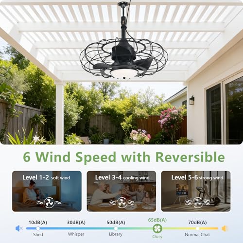 Outdoor Ceiling Fan with Light and Remote - 20-inch Waterproof Gazebo Fan, Dimmable 3-Color, 6 Speed, Black
