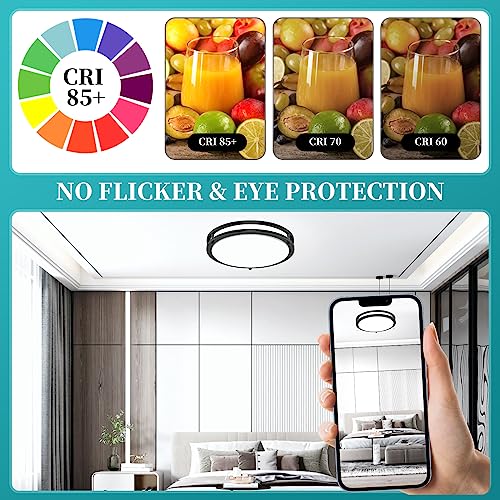 Black 16-Inch LED Ceiling Light Fixtures 50W Dimmable 5CCT Adjustable Pack of 2