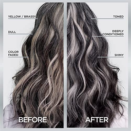 L'Oreal Paris Le Color Gloss Step Toning Gloss,In-Shower Hair Toner with Deep Conditioning Treatment Formula for Gray Hair,Silver Slate,1 Kit,(Pack of 2)