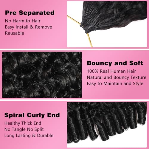 Beauty Queen Burmese Curly Crochet Hair 16 Inch 60g Knotless Pre-Separated Spiral Curl for Women - 1B