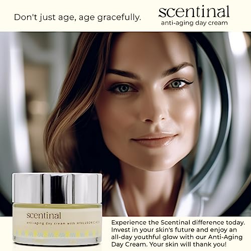 Secura Moisturizer Cream, 59431900, 3oz Tube (each)