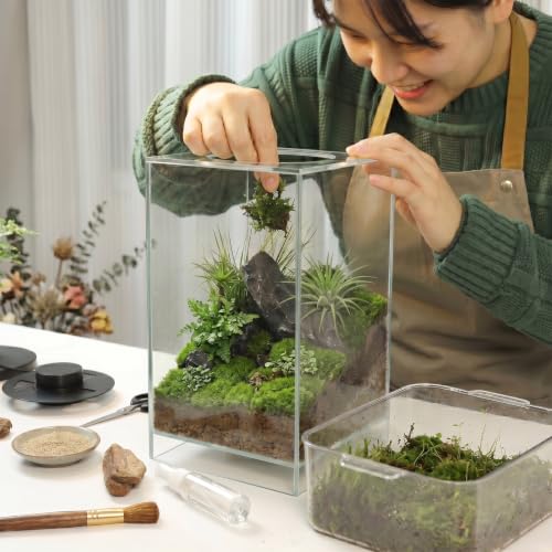 Desktop Glass Plant Terrarium with Adjustable Grow Light for Succulents & Moss