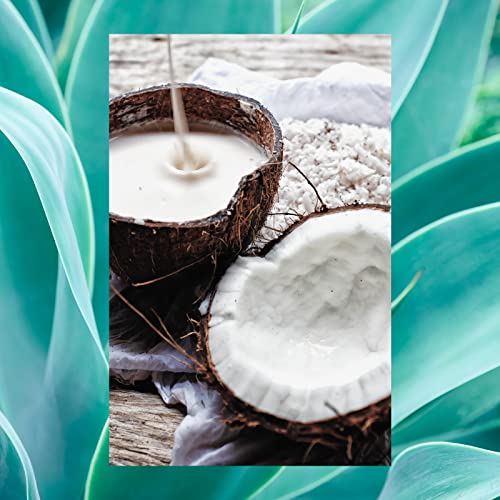 Moisturizing Hair Conditioner with Coconut, Agave & Almond Milk - 18 Fl Oz