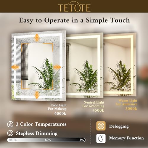 LED Bathroom Mirror 24x30 Inch with Lights, Anti-Fog, Dimmable, Tempered Glass - Variation of 30"L x 24"W