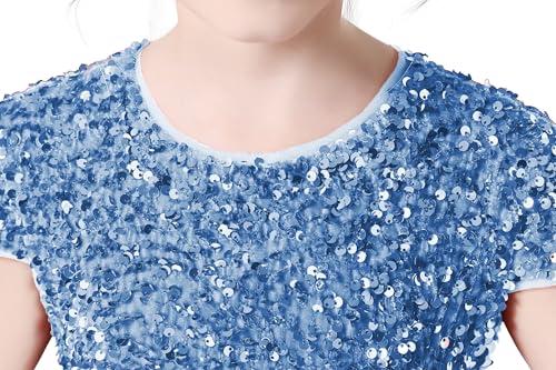 Baby Blue Flower Girl Dress with Sequins Tulle Puffy Skirt - Floor Length Wedding & Party Gown