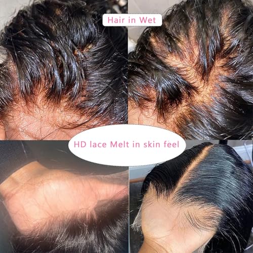 16 Inch HD Lace Frontal Body Wave Human Hair - Brazilian Virgin, Pre Plucked, Free Part, 150% Density, Black