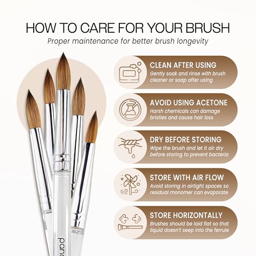 Nail Art Brush - Size 8 Kolinsky Hair Round Clear Acrylic Handle