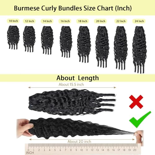 Monxaro Burmese Curly Hair Bundles 14 Inch, 1 Bundle, Wet & Wavy 100% Unprocessed Human Hair