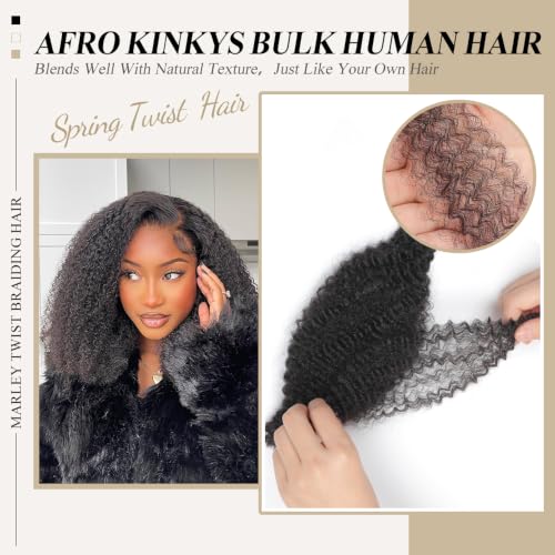 Spring Twist Hair Afro Kinkys Bulk Human Hair Bundles 16 Inch - Brown 4# - Natural Curl