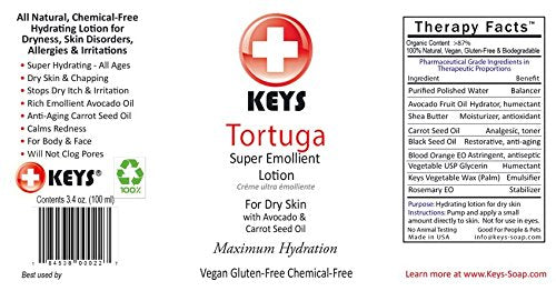 Vegan Hand & Body Lotion for Dry Skin - 3.4 oz Moisturizer with Shea Butter & Natural Oils