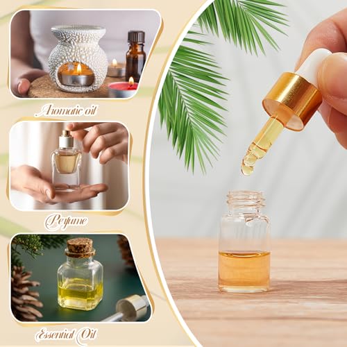 Mini Glass Oil Dropper Bottles Set 3ml Champagne Gold 200 pcs - Travel & Sample Containers
