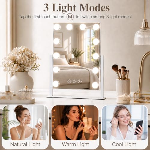 Makeup Mirror with Lights 10X Magnification 16.5 x 13.1 inch - Homtang