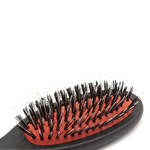 Small Boar Bristle and Nylon Hair Brush & Scalp Massager - German Beechwood