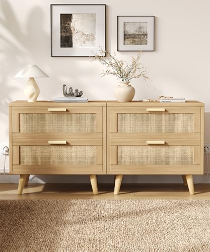 Keehusux 23.6-Inch Rattan Nightstand with Charging Station & Two Drawers