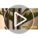 FLOWORLD 6ft Artificial Rubber Tree Plant Faux Ficus Tree with Pot - Large Indoor House Decor