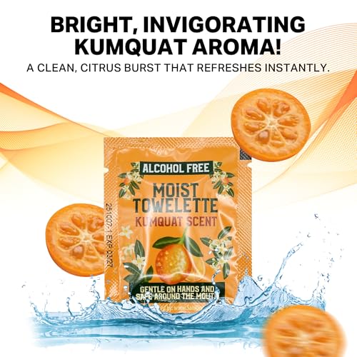 Individually Wrapped Hand Wipes, Alcohol-Free Wet Wipes For Sensitive Skin, Plant-Derived Hand & Face Cleansing, Kumquat Scented, Lunchbox & Travel Packets, 10 Pack - (Made In USA)