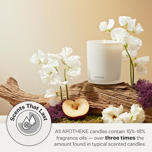 APOTHEKE Charcoal Scented 3-Wick Candle - 26 Oz Brooklyn Luxury Fragrance