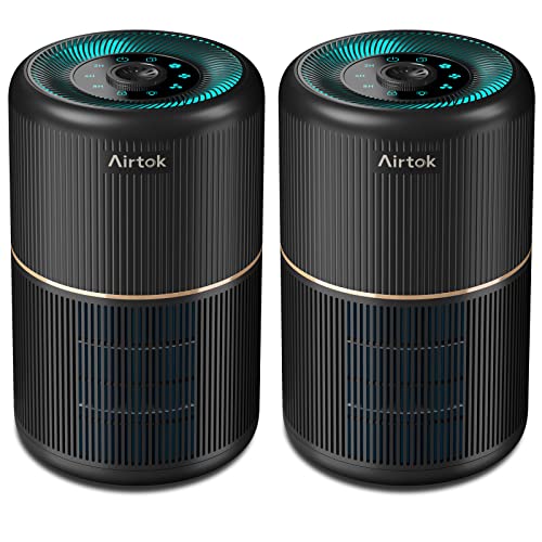 Black Air Purifier for Home Bedroom Office with HEPA Filter & Fragrance Sponge