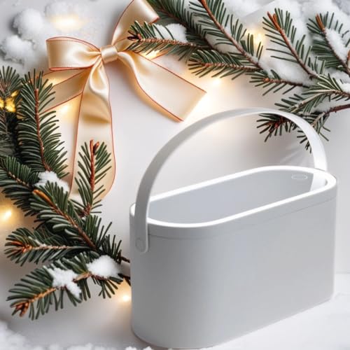 Travel Makeup Box with LED Lighted Mirror, Multi-purpose Cosmetics Box Carrying Case Women's Dat Gift, White, Travel Size (Instruction included)