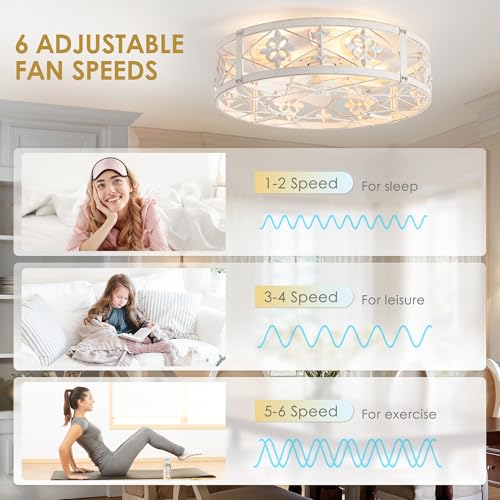 Farmhouse Caged Ceiling Fan with Light - 20 Inch Distressed White with Remote