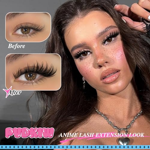 KYDA 200 Sheets Face Oil Blotting Paper, Included Refills, Mirror and Puff, Oil Absorbing Sheets for Matte Makeup, Controls Shine, Absorb Excess Oil, Travel Size Gentle Face Makeup, Green Tea