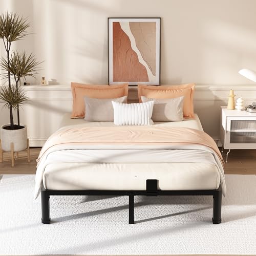 Queen 10 Inch Heavy Duty Metal Bed Frame with Rounded Corners and Headboard Hole