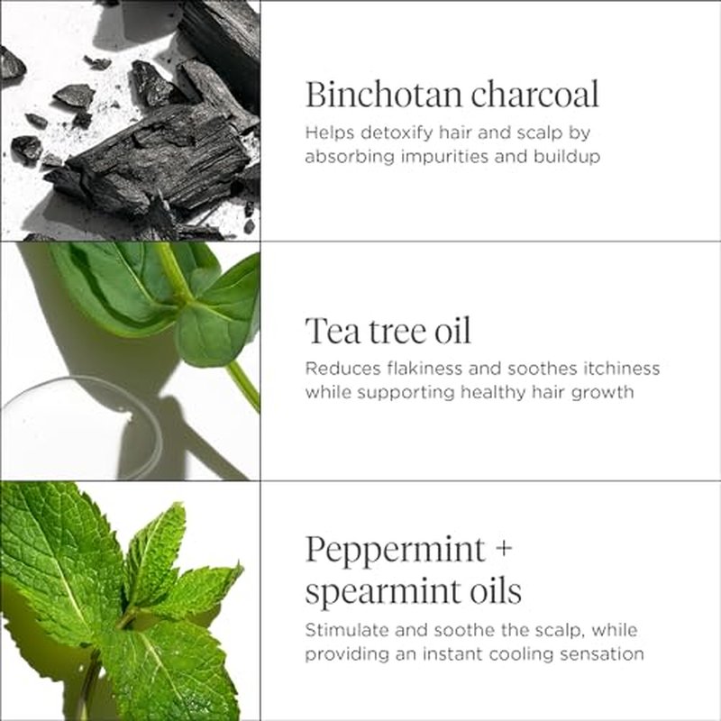 Briogeo Scalp Revival Charcoal + Tea Tree Cooling Hydration Scalp Mask | Weekly Scalp Treatment for Dry, Flaky, or Itchy Scalp | Detoxifying & Moisturizing | Vegan & Cruelty Free | 6 oz