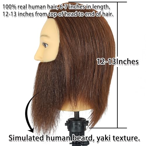 Brown Male Mannequin Head with Beard 100% Human Hair for Cosmetology Training