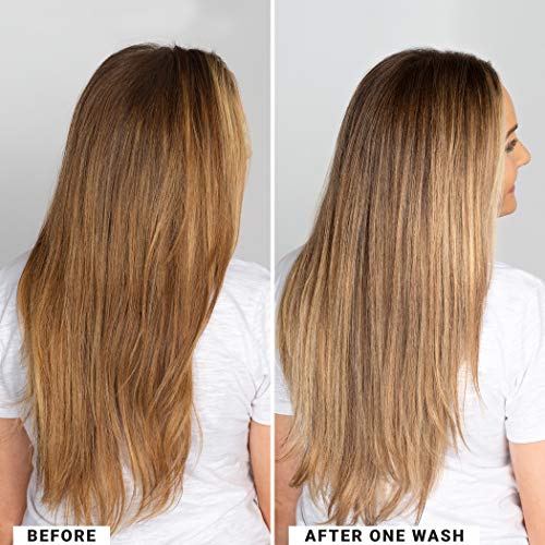 Blonde Purple Shampoo for Brightening Hair - 6 Fl Oz