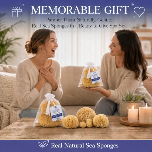 Constantia Beauty Natural Sea Sponges 5pk Gift Set in Box for Bath & Facial Care