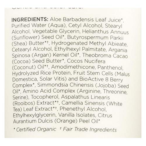 Styling Cream, Argan Oil & Shea, Moisture Rich, 6.8 oz by Andalou Naturals