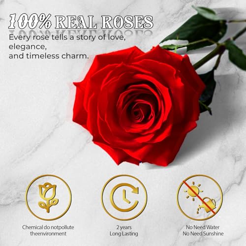 50 Red Preserved Forever Roses in Heart-Shaped Gift Box - Wedding Gift for Her - Variation of 50 Roses / Red 50 Roses
