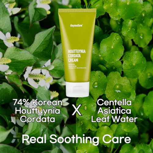 Houttuynia Cordata Soothing Cream 80ml - Hydrating and Calming Facial Moisturizer