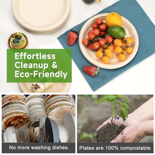 RACETOP 10 Inch Compostable Paper Plates - Brown, 500 Pack