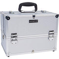 SHANY Essential Pro Makeup Train Case Cosmetic Box Portable Makeup Case Cosmetics Beauty Organizer Jewelry storage with Locks, Multi Compartments Makeup Box and Shoulder Strap - Silver