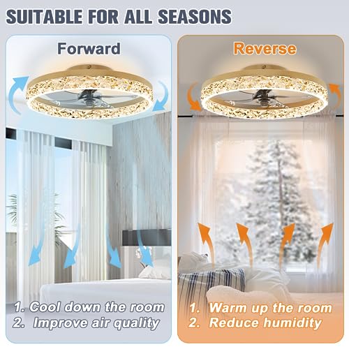 19.7 Inch Gold Ceiling Fan with Lights and Remote - Dimmable, Low Profile Flush Mount, Modern Ceiling Fan for Bedroom Living Room Kitchen