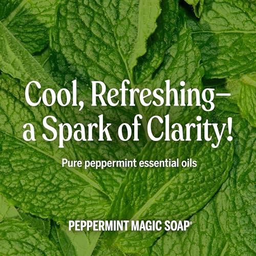Liquid Castile Soap Refill Peppermint 32oz 2-Pack - Organic Vegan, Concentrated