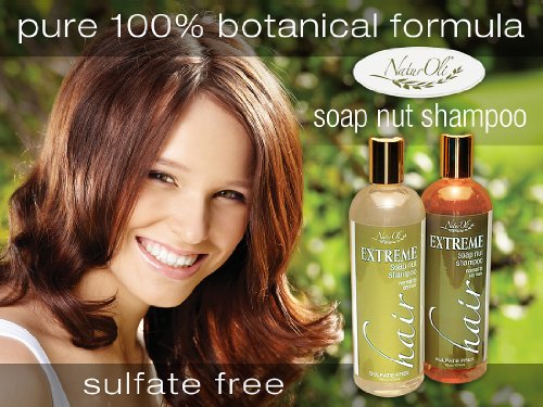 NaturOli Soap Berry Shampoo for Normal to Dry Hair - 16oz Sulfate Free Vegan Hair Care