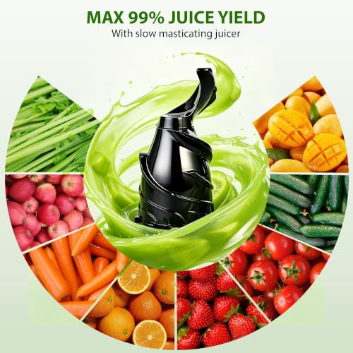 Cold Press Juicer with Smart Touch Display & Brushless Motor - Large Feed Chute